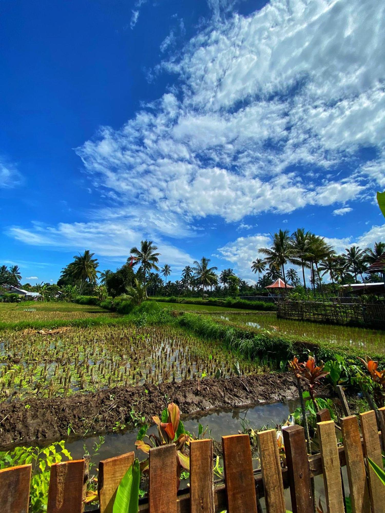 Alfarizi Homestay Tetebatu Zimmer foto